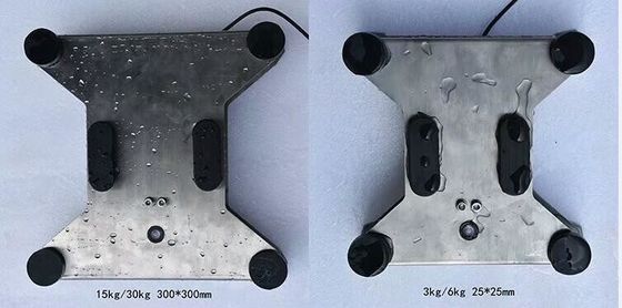 스테인리스 Benchtop 가늠자, 전자 플랫폼 무게를 다는 가늠자 30Kg-300Kg